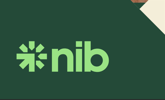 nib Names New Ongoing Technology Chief