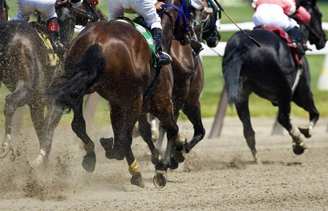 Sportsbet Launches AI Portal to Enhance Safeguards and Manage Expenses